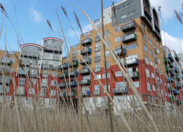 view of colourful apartment building through long grass.jpg